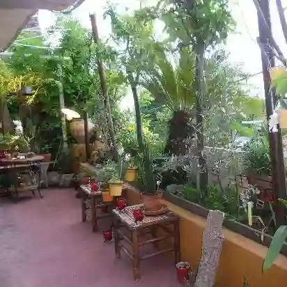 Le Restaurant - Le Matuzia - Saint-Raphaël - meilleur resto SAINT-RAPHAEL